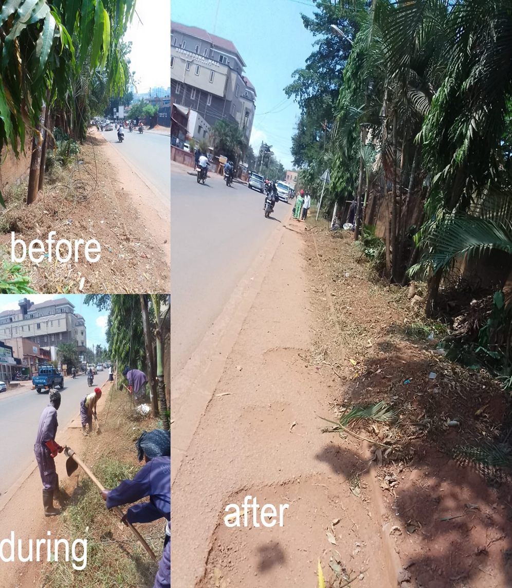 Roadside landscape work